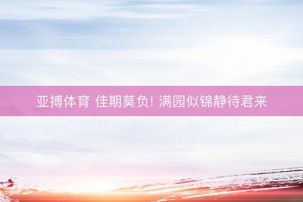 亚搏体育 佳期莫负! 满园似锦静待君来