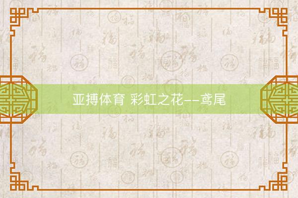 亚搏体育 彩虹之花--鸢尾