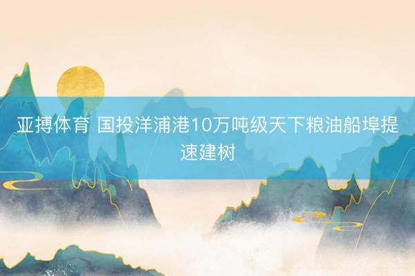 亚搏体育 国投洋浦港10万吨级天下粮油船埠提速建树