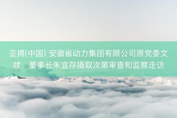 亚搏(中国) 安徽省动力集团有限公司原党委文牍、董事长朱宜存摄取次第审查和监察走访