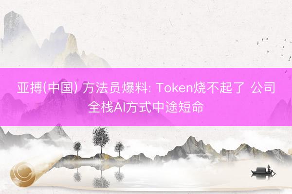 亚搏(中国) 方法员爆料: Token烧不起了 公司全栈AI方式中途短命