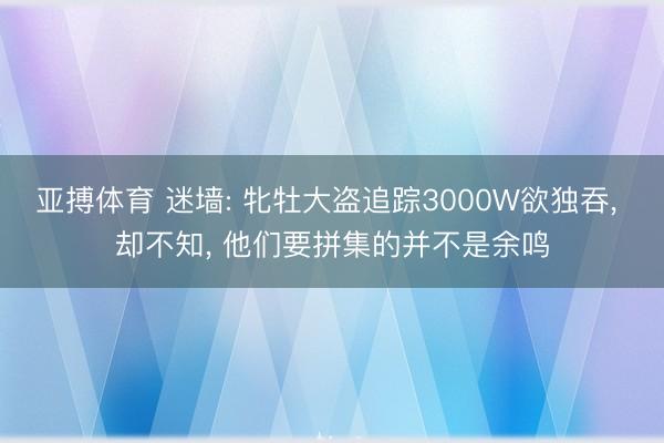 亚搏体育 迷墙: 牝牡大盗追踪3000W欲独吞， 却不知， 他们要拼集的并不是余鸣