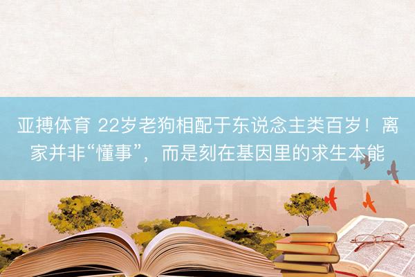 亚搏体育 22岁老狗相配于东说念主类百岁！离家并非“懂事”，而是刻在基因里的求生本能