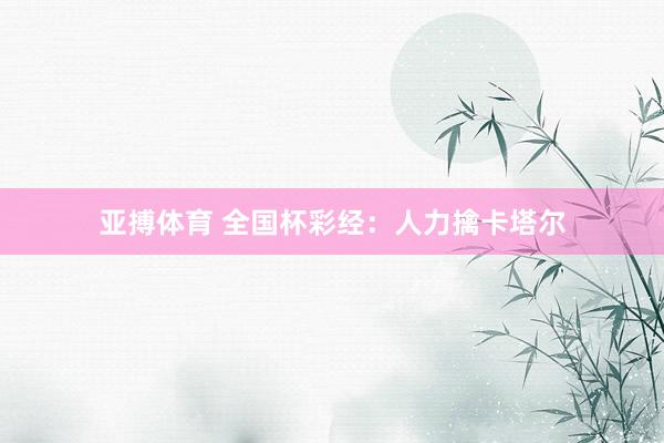 亚搏体育 全国杯彩经：人力擒卡塔尔